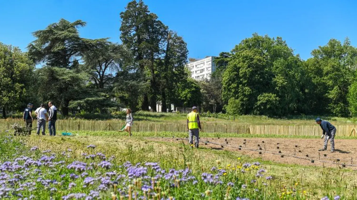 Top départ pour la ferme urbaine des Dervallières